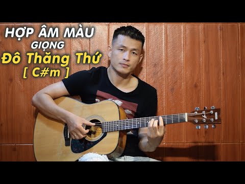 Video [#8] THẾ HỢP ÂM MÀU GIỌNG ĐÔ THĂNG THỨ (C#m) | Phong... - youtube
