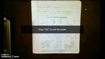 How To: Use AverVision U50