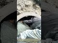 Clearing Blockages: Two Laborers Team Up To Remove Large Rock Jammed Inside A Drain Culvert