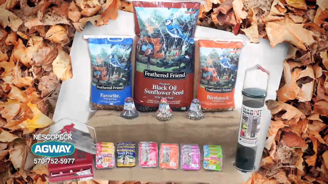 Nescopeck Agway Fall 2014 QT 768Kbps YouTube