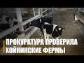 Недостатков немало. В Хойникском районе прокуратура выявила нарушения в сфере животноводства