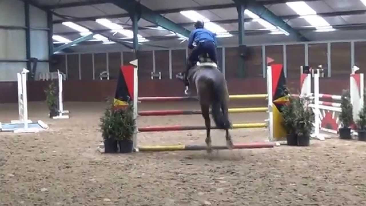 Loccorotondo x Achill Libero H