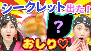 【クレーンゲーム】お尻が飛び出すマグネット「ぬけなーい！ 尻ーず」実況してたらシークレットが出た件。【ボンボンTV】