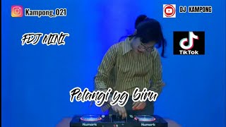 DJ PELANGI PELANGI ALANGKAH INDAH NYA 2021 [ DJ KAMPONG ]