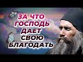 Не думай душа, что любит тебя Господь, если ты... - Силуан Афонский