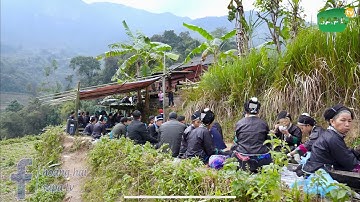 SAPA TV (P2) ĐÁM CƯỚI TRÊN RUỘNG BẬC THANG CỦA NGƯỜI NÙNG Ở HOÀNG SU PHÌ HÀ GIANG