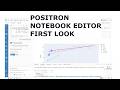 Positron Notebook Editor with AI Assistance - First Look