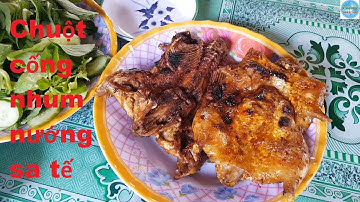 119 | Bẫy chuột cống nhum ở điểm mới | mouse