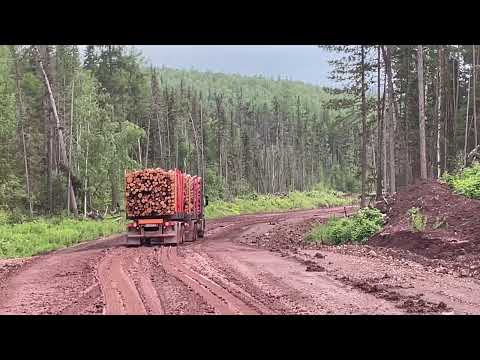 Осторожно мат. Тяжёлый спуск на гружёных лесовозах по мокрой глине