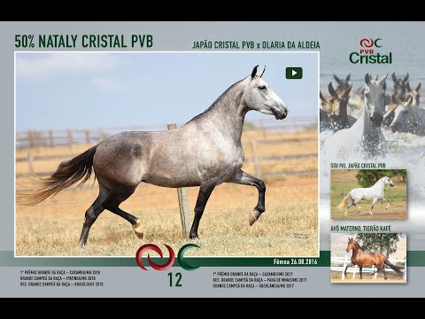 Nataly Cristal PVB