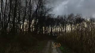 [GibTv] GIGOLO AUNTS - WHERE I FIND MY HEAVEN..