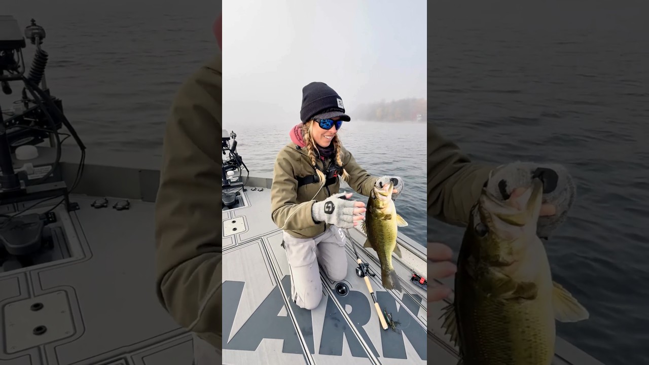 Big Bass MegaBucks Fall Tournament with Pam Stewart! #bassfishing #bass #fishing #girlsfishing