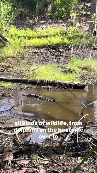 Day Trip to St. Phillips Island