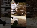 Masacre en Puebla ¡10 de una familia asesinados! #noticiasenespañol