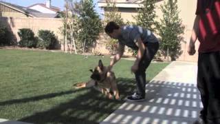 AP Psychology Project Operant conditioning