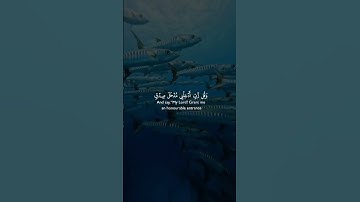 تلاوة عطرة بصوت عذب ،قرآن كريم،تلاوة #اكسبلور #قران_كريم #تلاوة_القرآن #الجزائر #مصحف_القرآن_الكريم