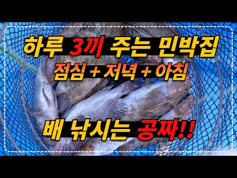 전북 군산_요즘 민박집 클라스 환상적인 해산물 3끼 식사와 배낚시 그리고 숙박까지 모두 포함