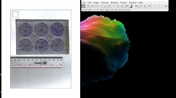 Clonogenic Assay with ImageJ