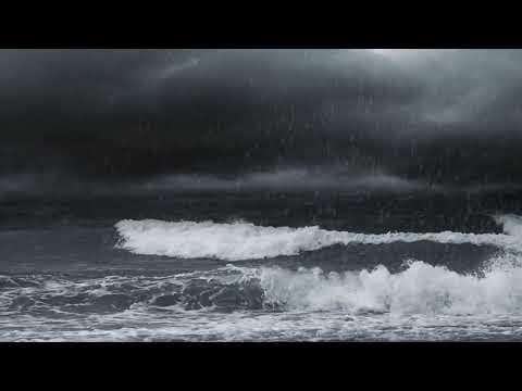 Skeleton Ocean - Into You (Visualizer)