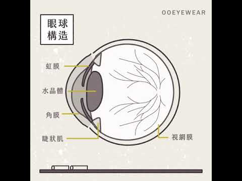 OOeyewear圈圈眼鏡 - 什麼是近視