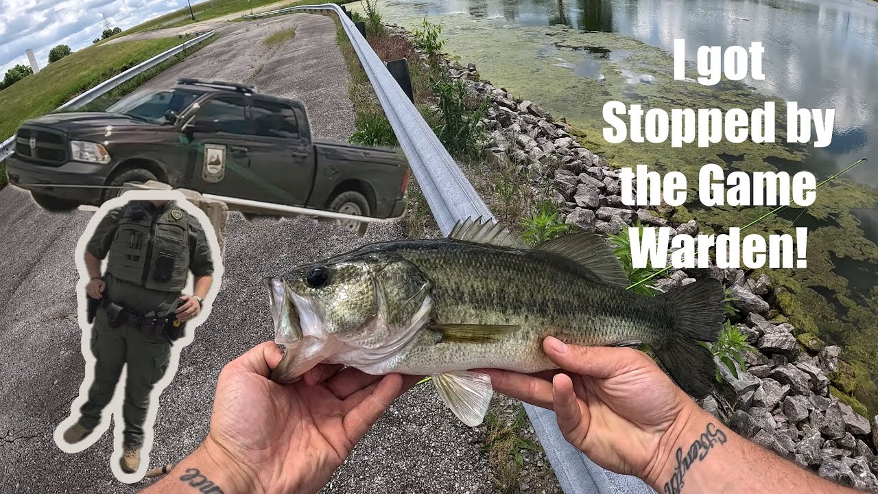 Catching TONS of Largemouth Bass and the Game Warden STOPPED me! 👀