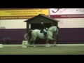 Galliani Biolley Grand Prix Massenhoven 69%