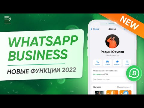 Зачем нужно приложение WhatsApp Business App? Советы, как использовать бизнес-аккаунт в WhatsApp