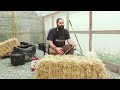 Growing Weed in a Straw Bale!