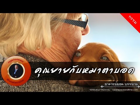 วีดีโอ: สิ่งที่คาดหวังเมื่อคุณรับเลี้ยงสุนัขตาบอด