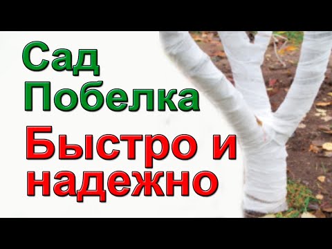Не мучайтесь с побелкой. Как надежно защитить садовые деревья от весенних ожогов.