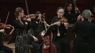 Boston Baroque - Antonio Vivaldi's Concerto in B minor for four violins