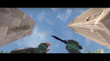 Hand Wraps OVERPRINT | GOAT Showcase CS:GO SKINS [ULTRAWIDE]