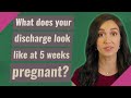 What does your discharge look like at 5 weeks pregnant?