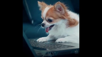 Why your business is invisible on social media - and how to fix it