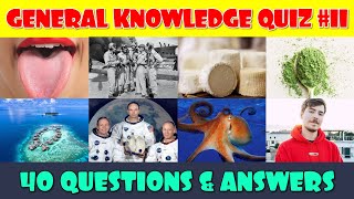 General Knowledge Trivia Quiz (Part 11) screenshot 5