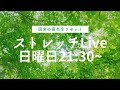 【生配信】ストレッチLive、ダイエットや健康について質問も受付中！