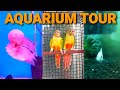 Best aquarium shop tour | Sea horse aquarium coimbatore
