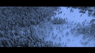 DEAL - Follow the Road (Official Music Video)