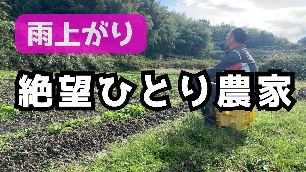 農作業でのお困り事 Solo Farmer] Things you should not do after the rain - YouTube