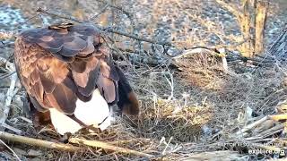 Decorah North Eagles,Mr Flies In With Fish Dinner For DNF 3/15/20