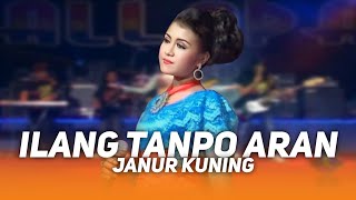 Janur Kuning - Ilang Tanpo Aran | New Pallapa Campursari 11