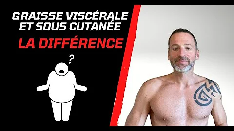 Comment savoir si graisse viscérale ou sous-cutanée