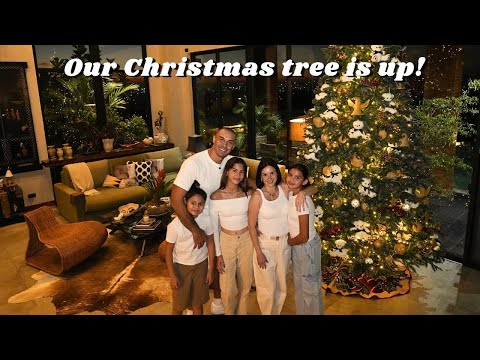 Our Christmas tree is up!