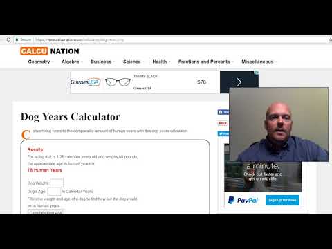 Dog Age Calculator
