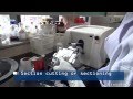 FFPE - Tissue Processing/Embedding/Sectioning for Histology, Immunohistochemistry (IHC), ISH & FISH