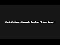 Find Me Here - Sherwin Gardner [1 hour Loop] 🎶🎧
