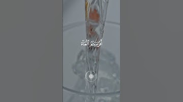 ياسر الدوسري - سورة الواقعة - تلاوة خاشعة افرءيتم الماء الذي تشربون