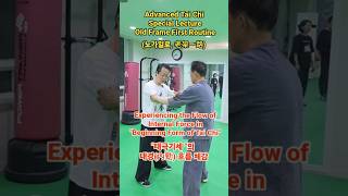 LǎoJiàYīLù: Experiencing the Flow of Internal Force in "TàijíQǐshì" | Advanced Tai Chi Lecture