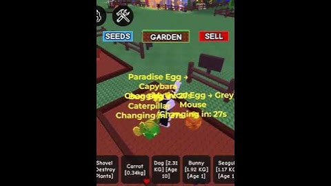 EGG PREDICTOR UPDATED SCRIPT IN COMMENTS!!