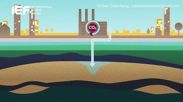 4 Companies Pioneering Carbon Capture
